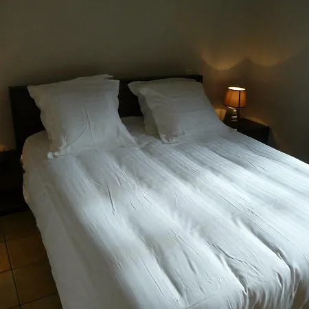 Dans Le Cloitre Saint Salvy A Albi. *