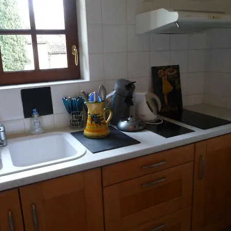 Dans Le Cloitre Saint Salvy A Albi. Albi