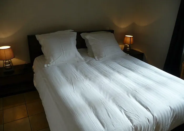 Dans Le Cloitre Saint Salvy A Albi. *