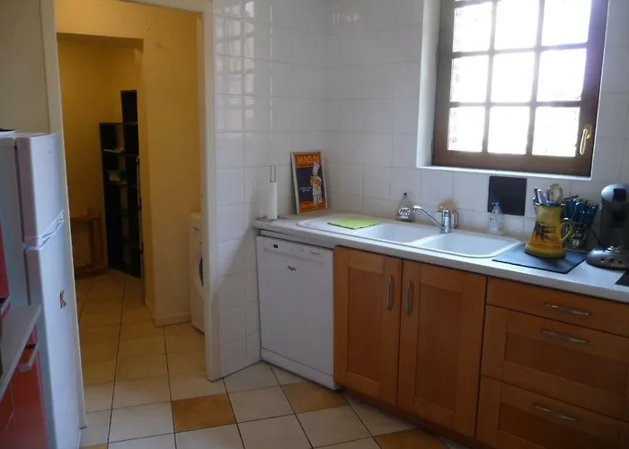 Dans Le Cloitre Saint Salvy A Albi.