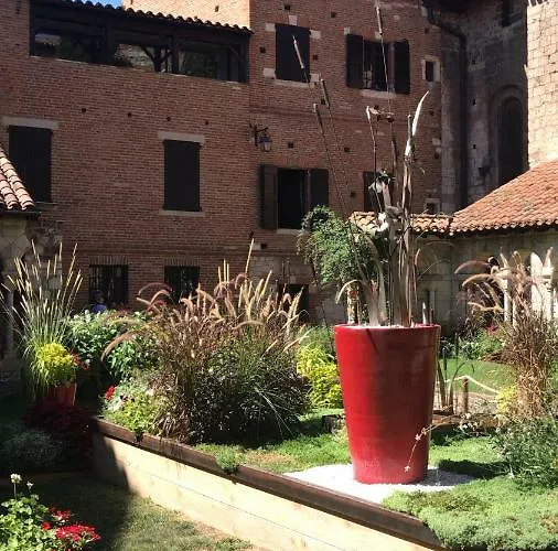 Dans Le Cloitre Saint Salvy A Albi. * Albi